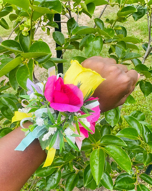 Blush & Bloom