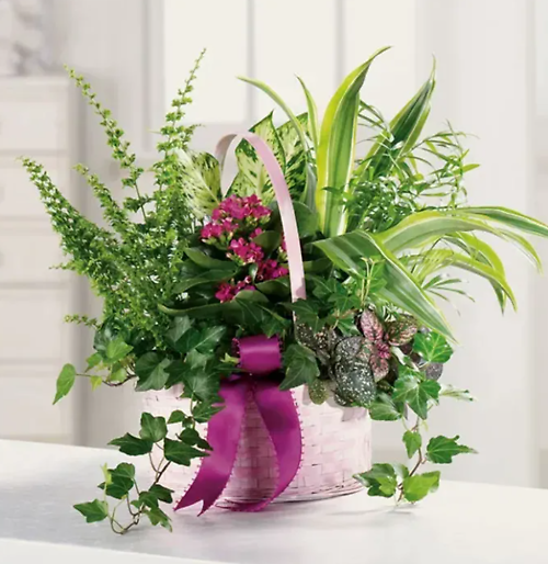 Garden In A Basket