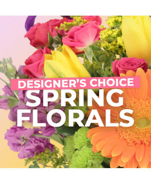 Designers Choice Spring
